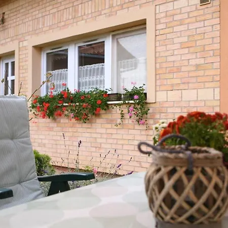 Teubel 2 * Szekesfehervar